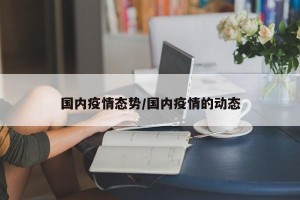 国内疫情态势/国内疫情的动态