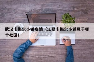武汉卡梅尔小镇疫情（江夏卡梅尔小镇属于哪个社区）