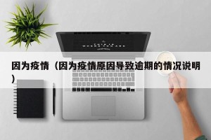因为疫情（因为疫情原因导致逾期的情况说明）